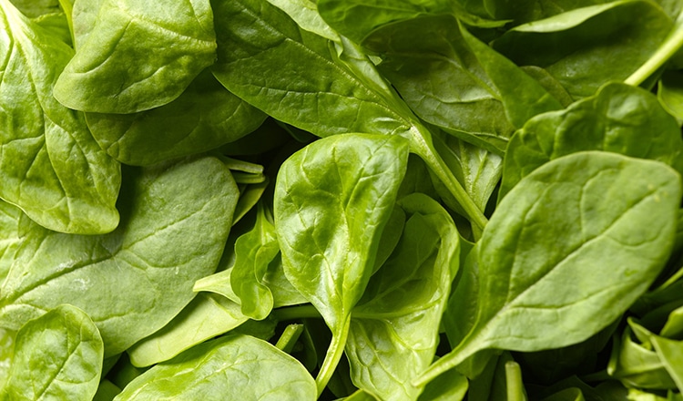 Spinach