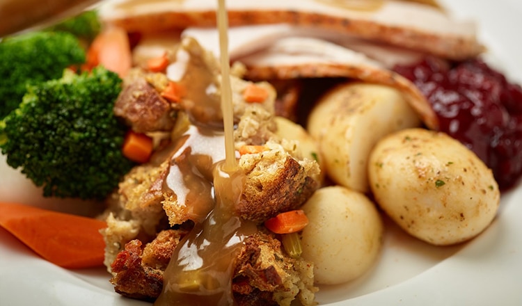Plate of Thanksgiving dinner foods