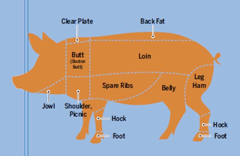 Pork cuts diagram