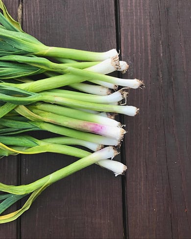 Fancy Spring Onions Spring is For Foodies - DISH