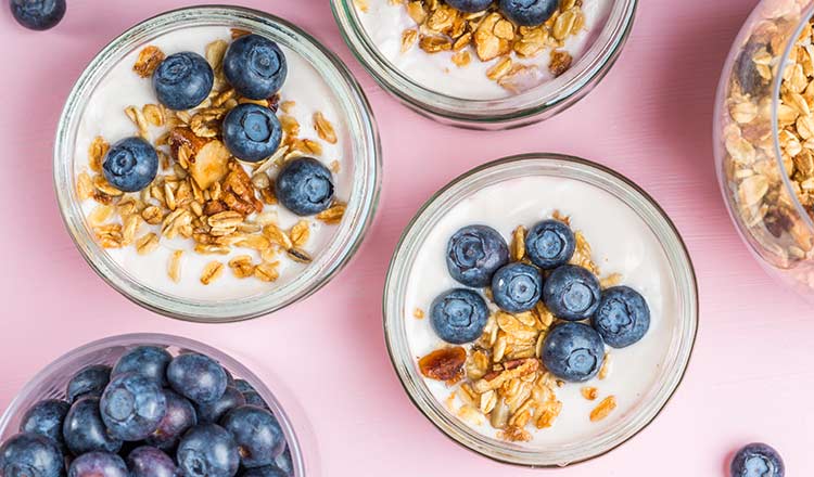 Homemade Greek-Style Yogurt