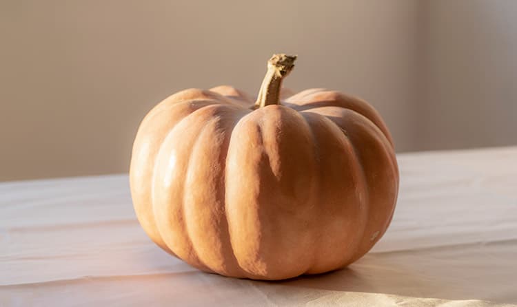Pumpkin on a counter