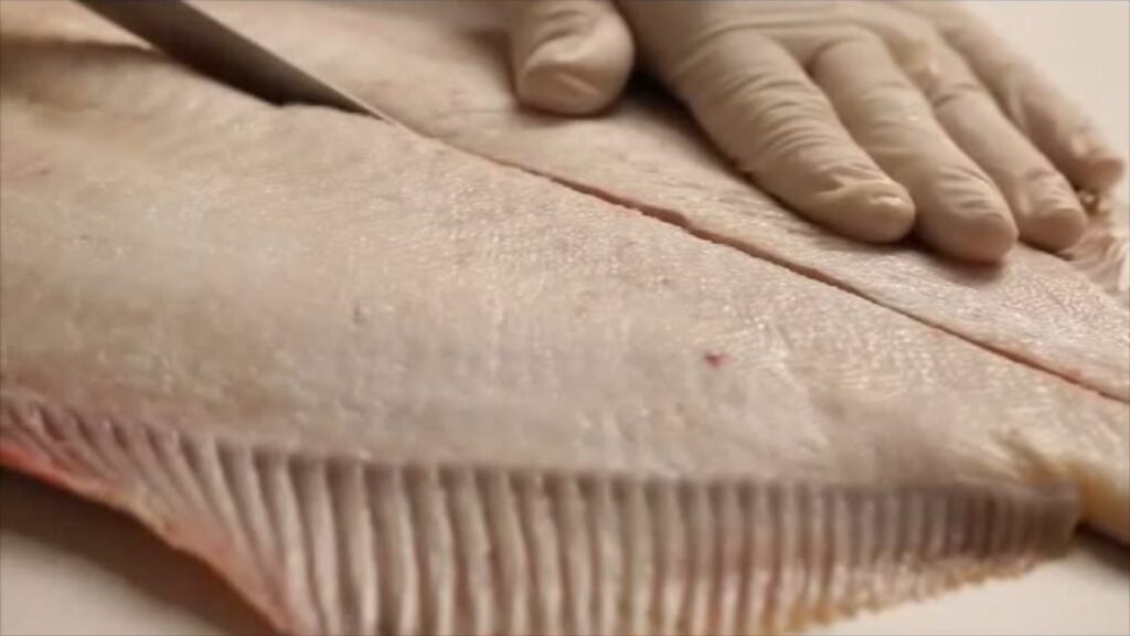 Chef’s Tip: How to Filet Flat Fish