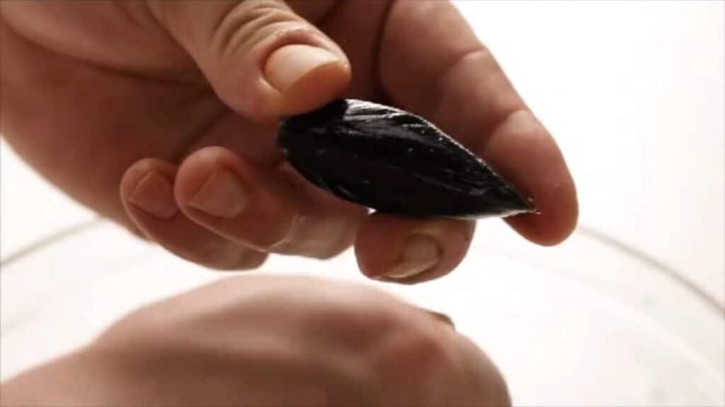 Chef’s Tip: How To Prepare Mussels