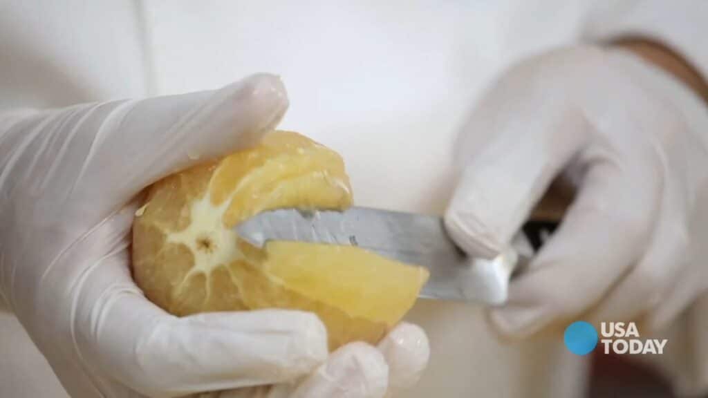 How To: Cut (Suprême) Citrus Fruit