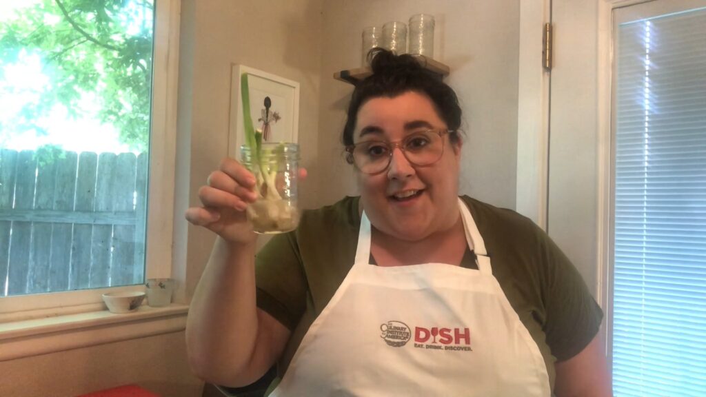 Regrow Scallions in Your Kitchen