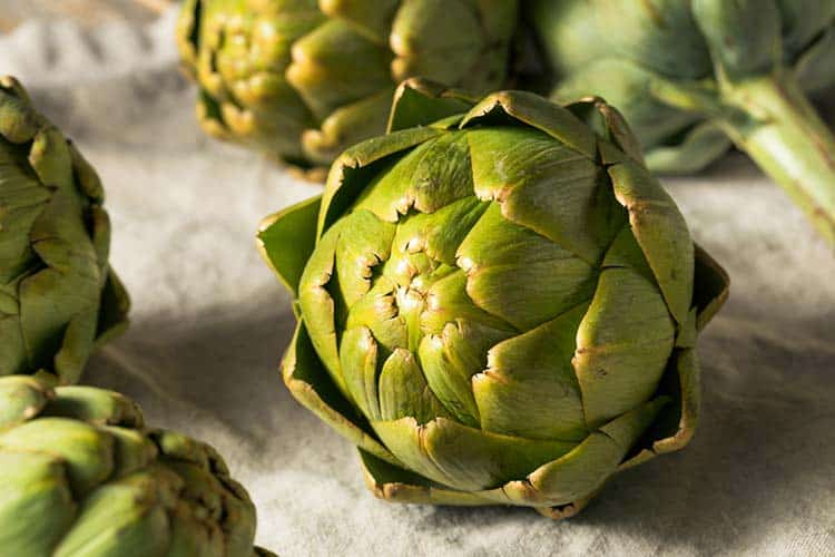 Globe artichokes