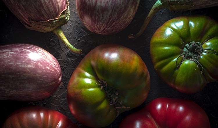 Heirloom tomatoes and eggplants on a dark grey background, dimly lit